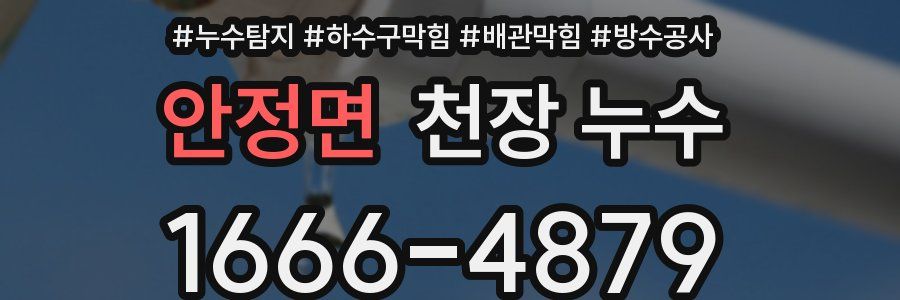 안정면 천장 누수