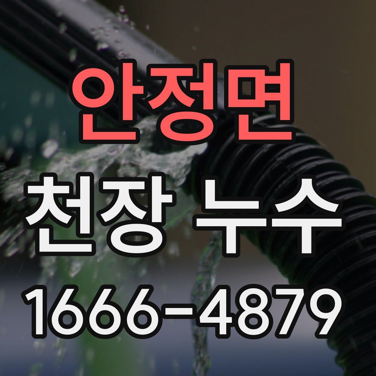 안정면 천장 누수