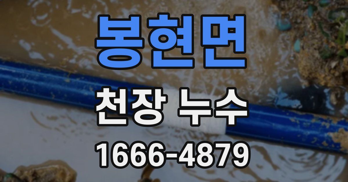 봉현면 천장 누수