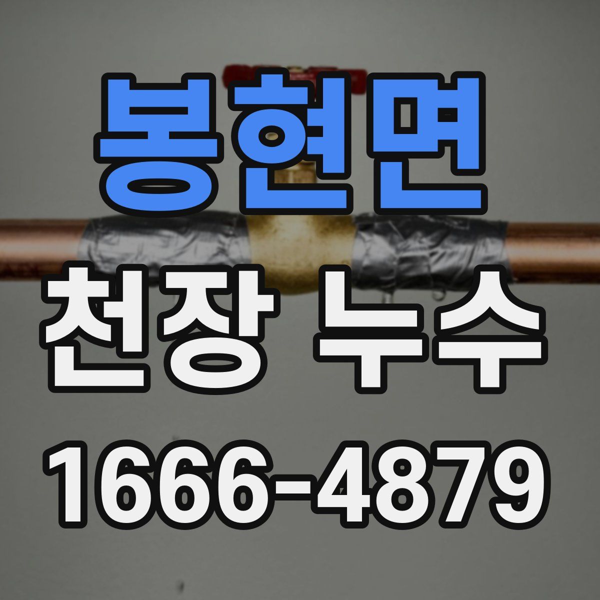 봉현면 천장 누수