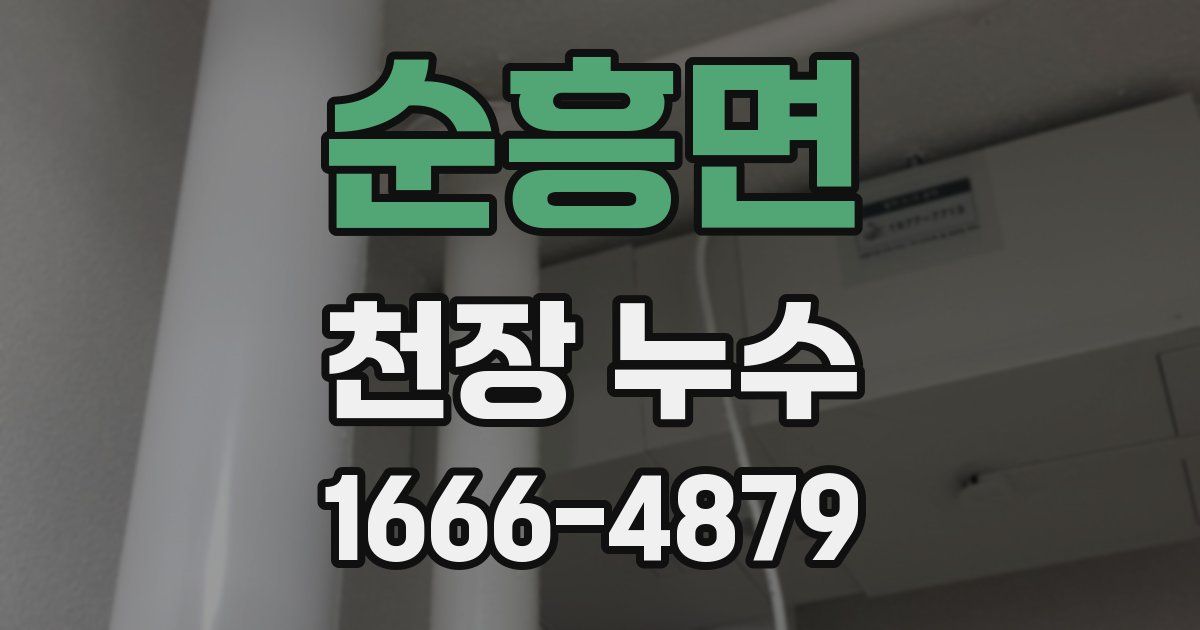 순흥면 천장 누수