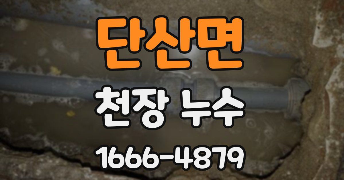 단산면 천장 누수