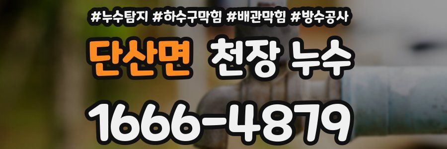 단산면 천장 누수
