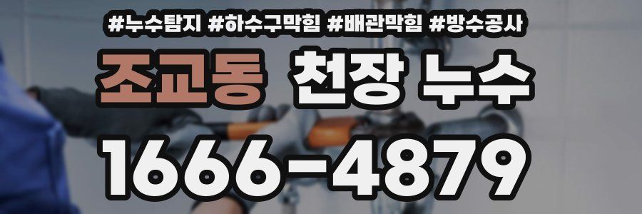 조교동 천장 누수