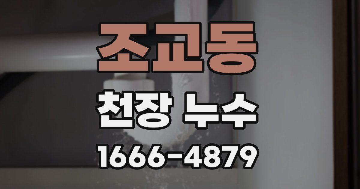 조교동 천장 누수