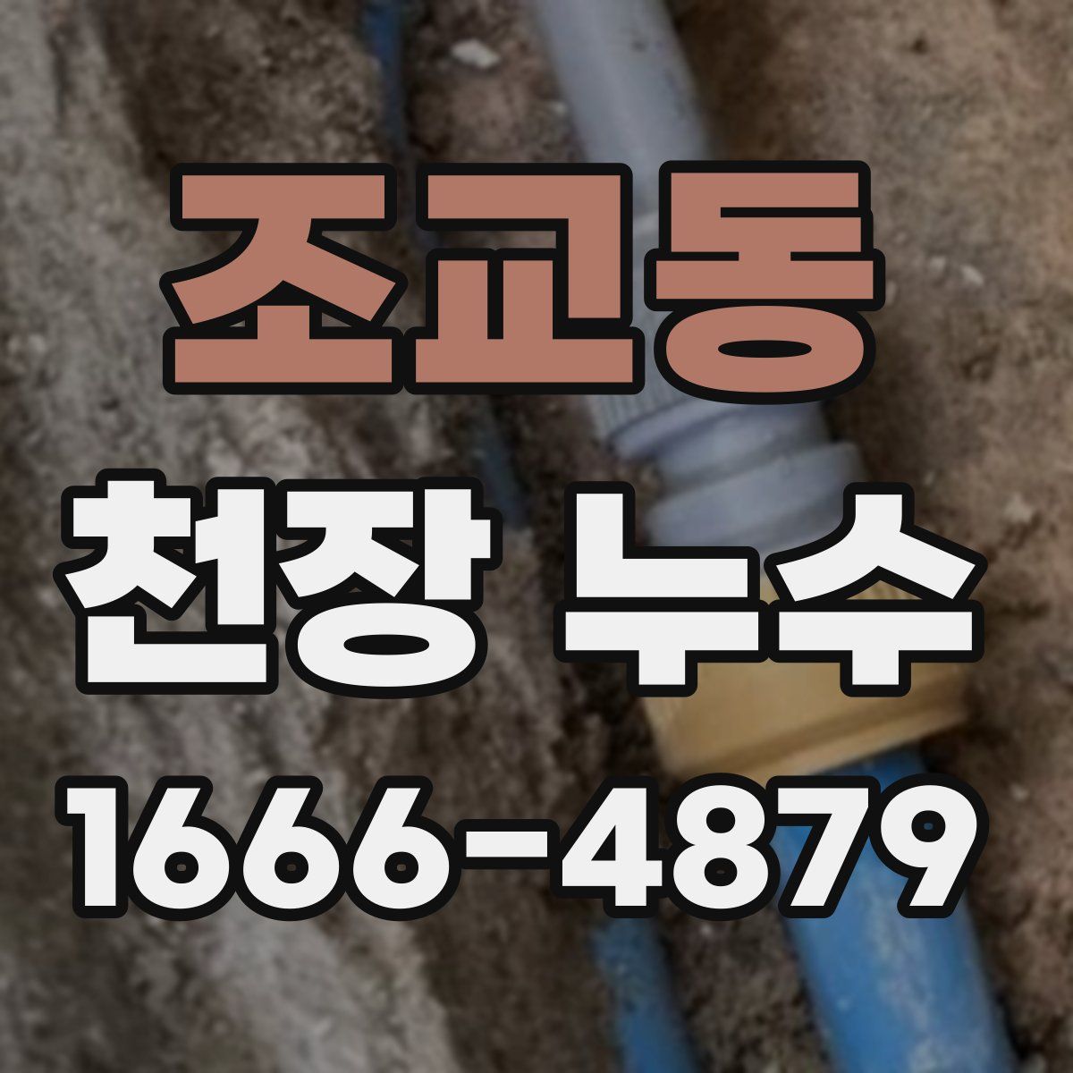 조교동 천장 누수