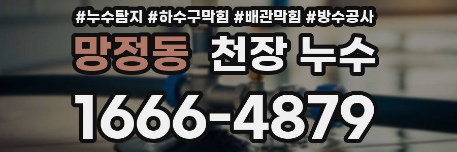 망정동 천장 누수