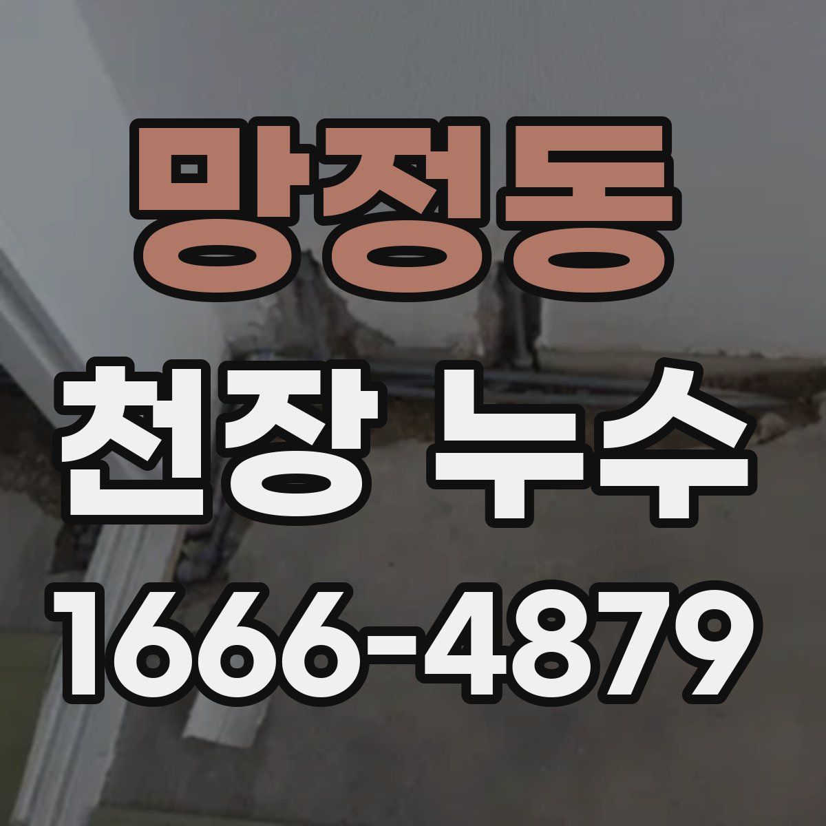 망정동 천장 누수