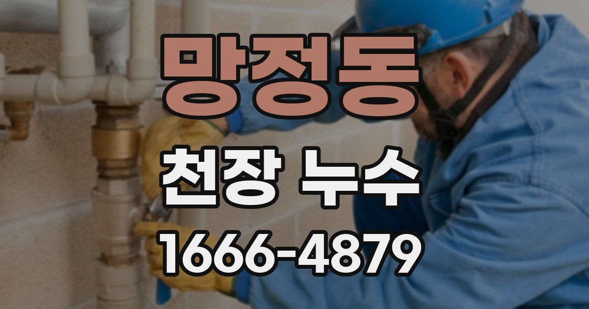 망정동 천장 누수