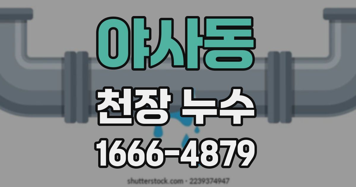 야사동 천장 누수