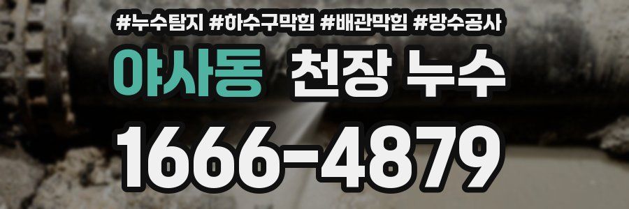 야사동 천장 누수