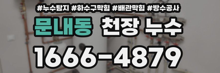 문내동 천장 누수