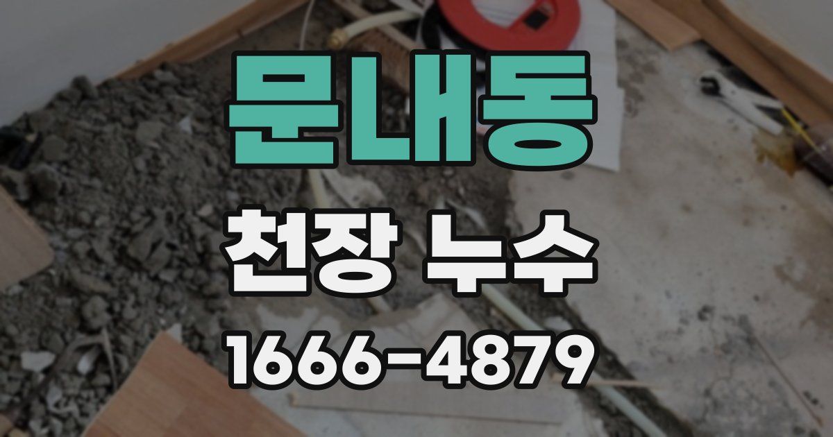 문내동 천장 누수