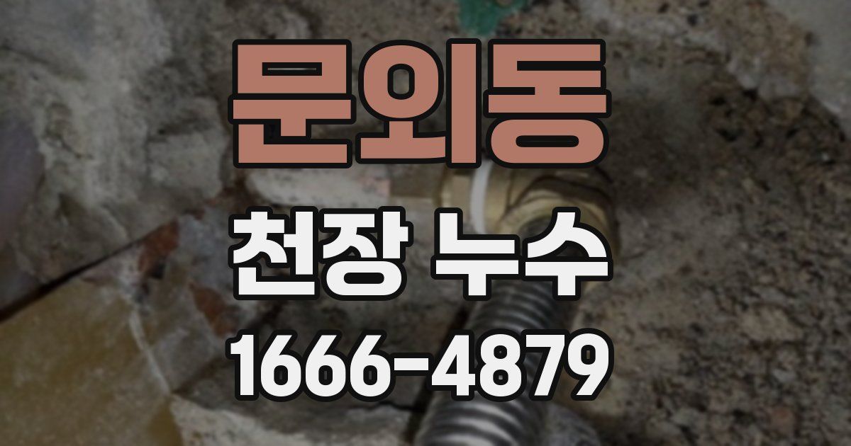 문외동 천장 누수