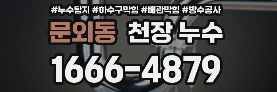 문외동 천장 누수