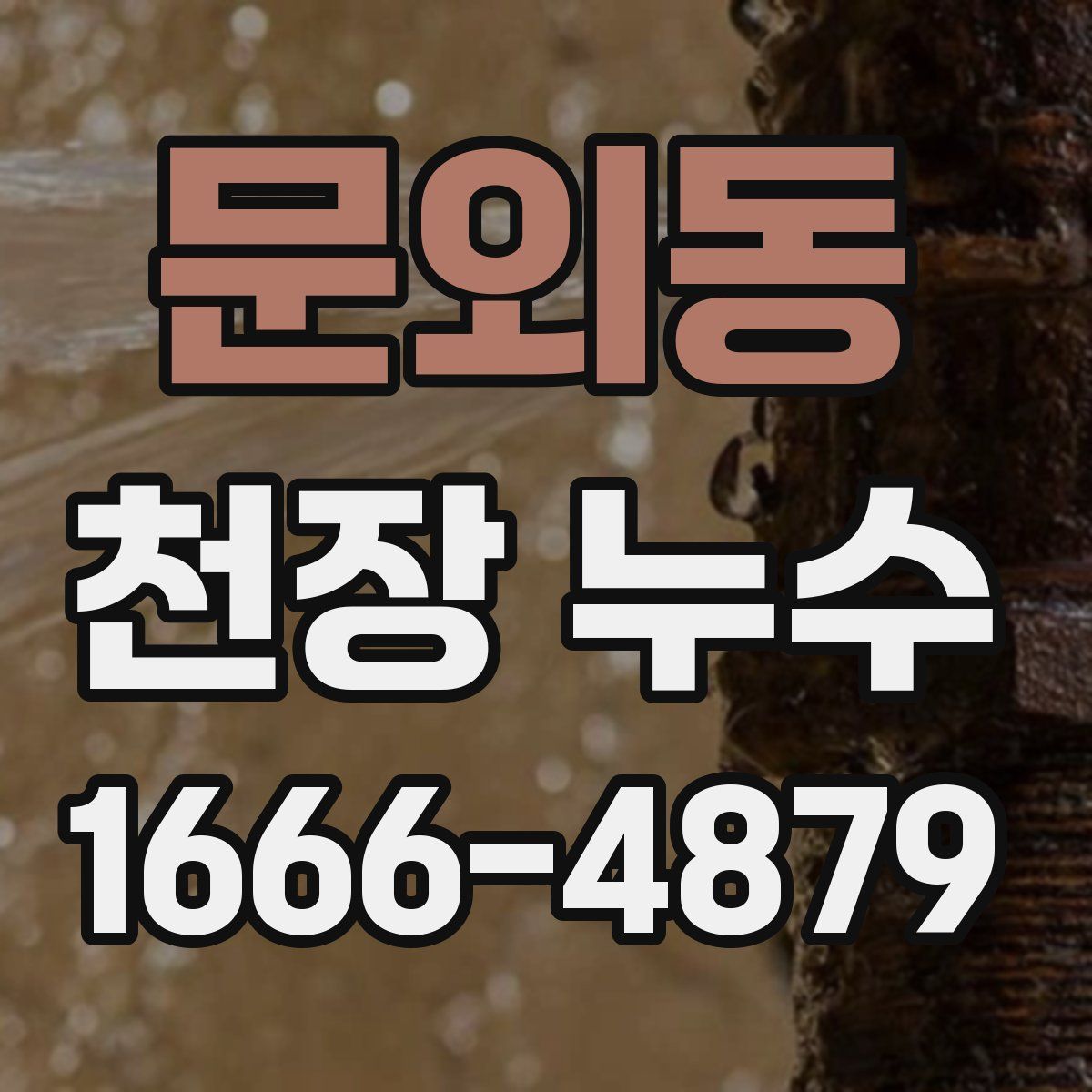 문외동 천장 누수