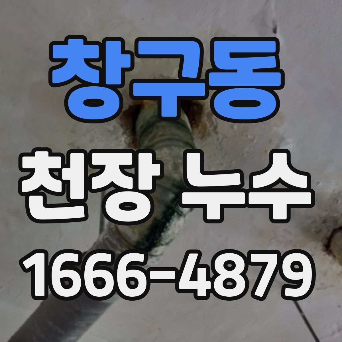 창구동 천장 누수
