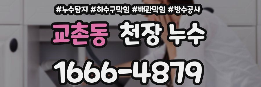 교촌동 천장 누수