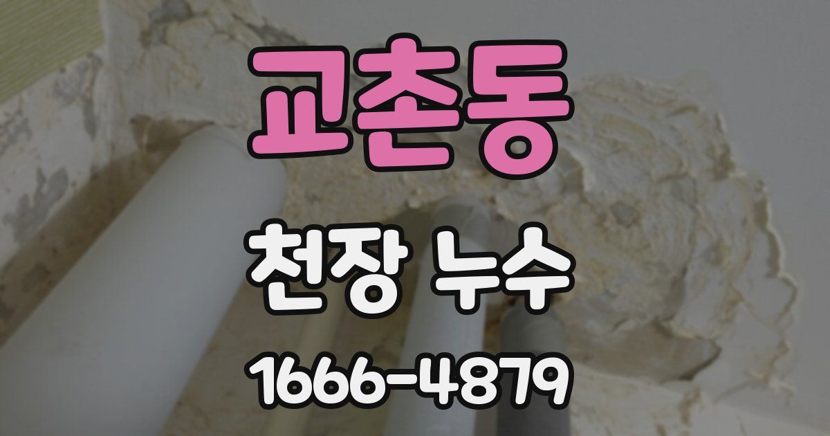 교촌동 천장 누수