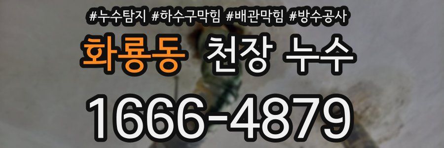 화룡동 천장 누수