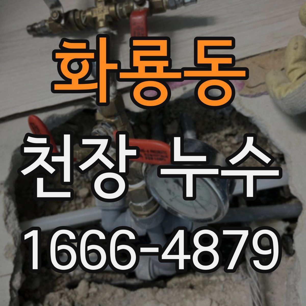 화룡동 천장 누수