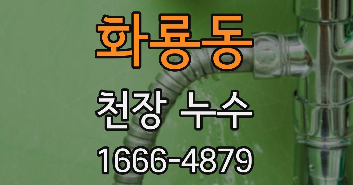 화룡동 천장 누수