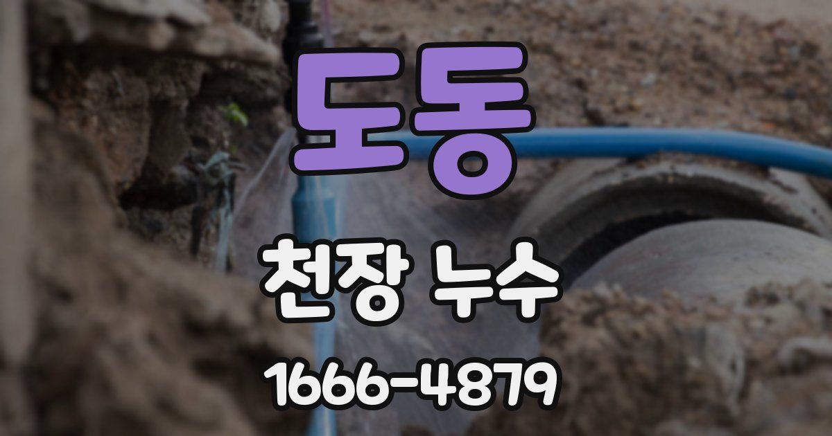 도동 천장 누수