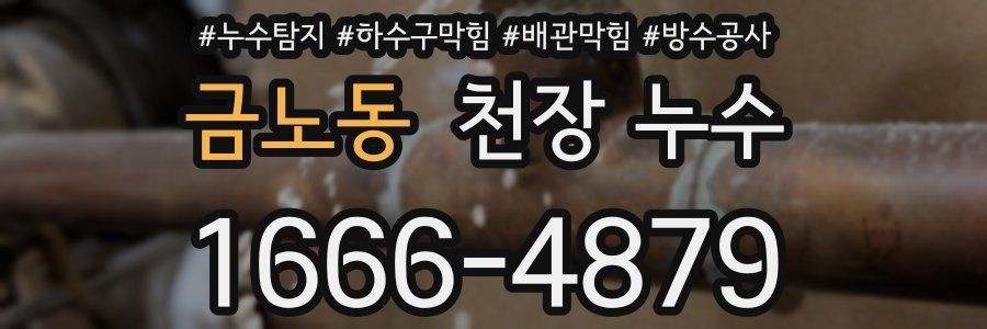 금노동 천장 누수