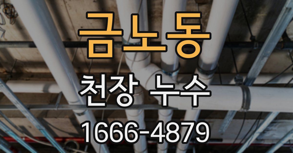 금노동 천장 누수