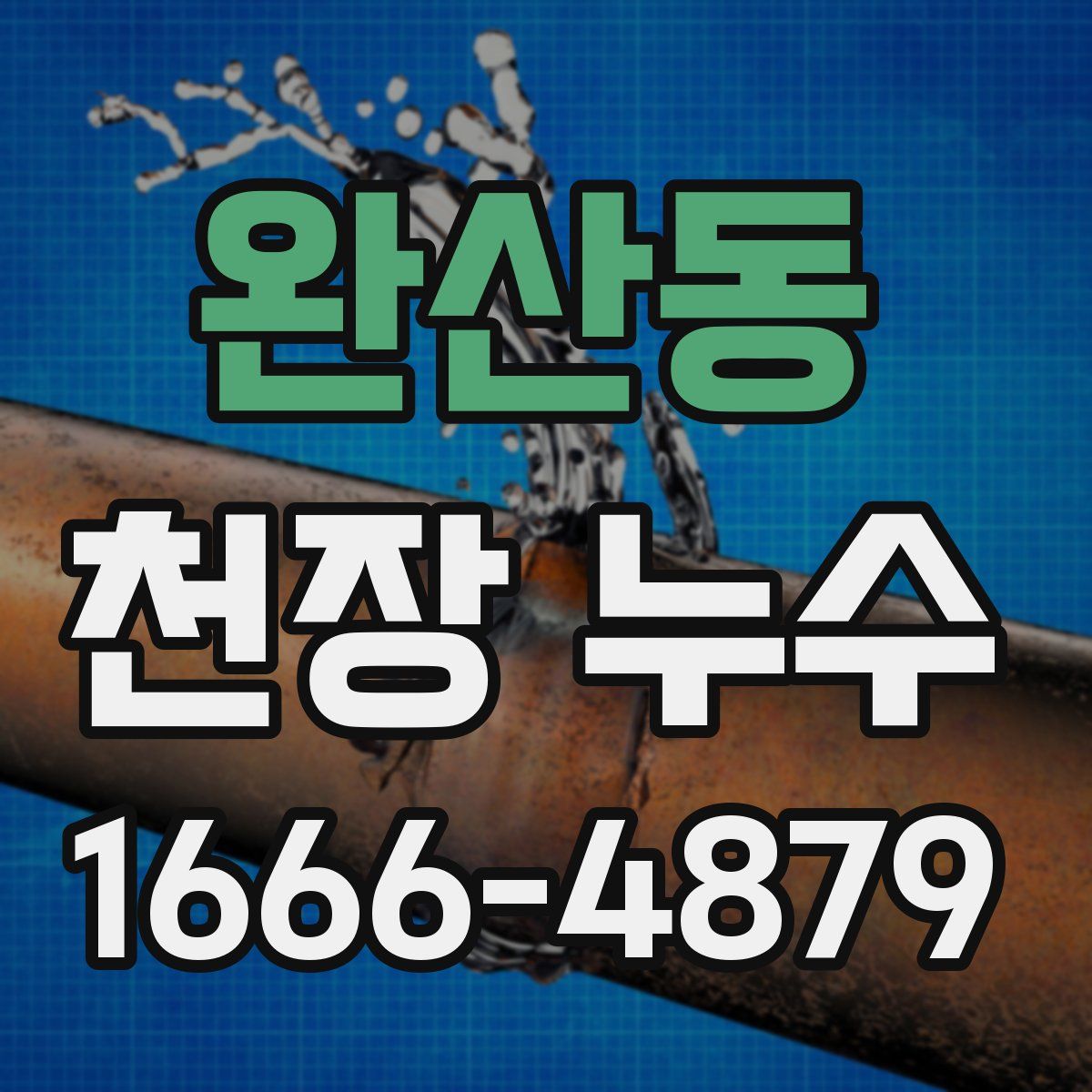 완산동 천장 누수