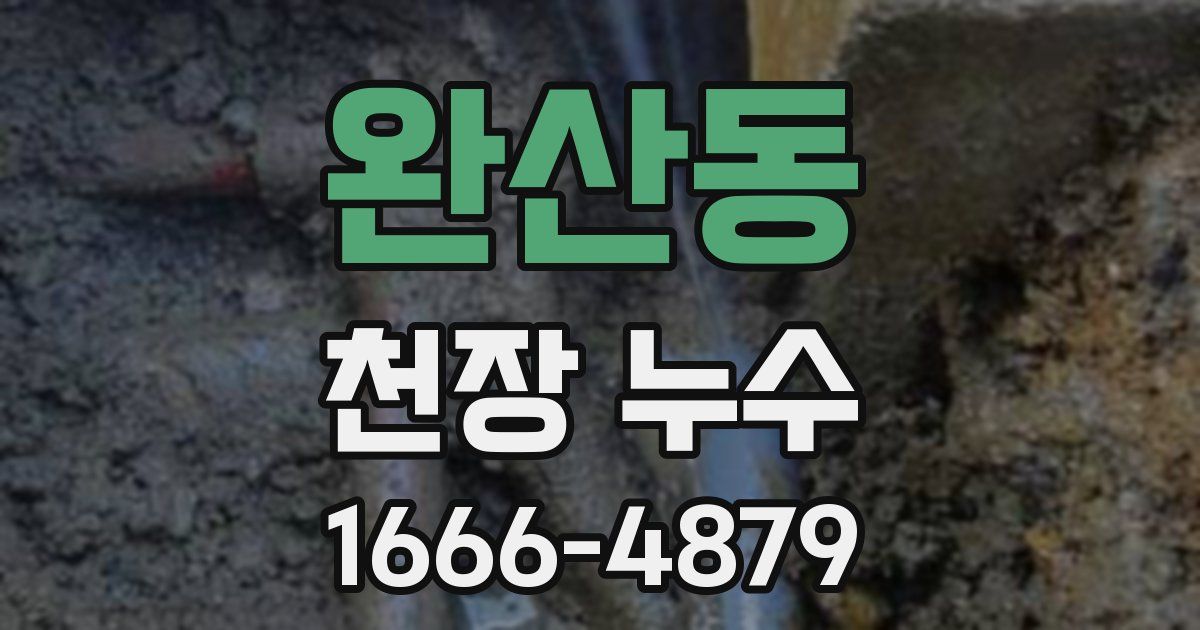 완산동 천장 누수