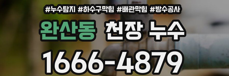 완산동 천장 누수