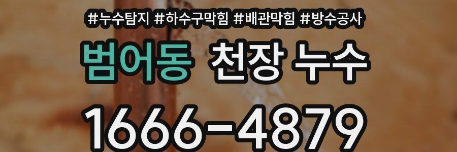 범어동 천장 누수
