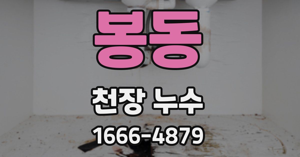 봉동 천장 누수