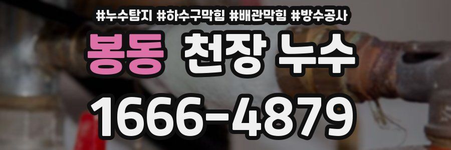 봉동 천장 누수