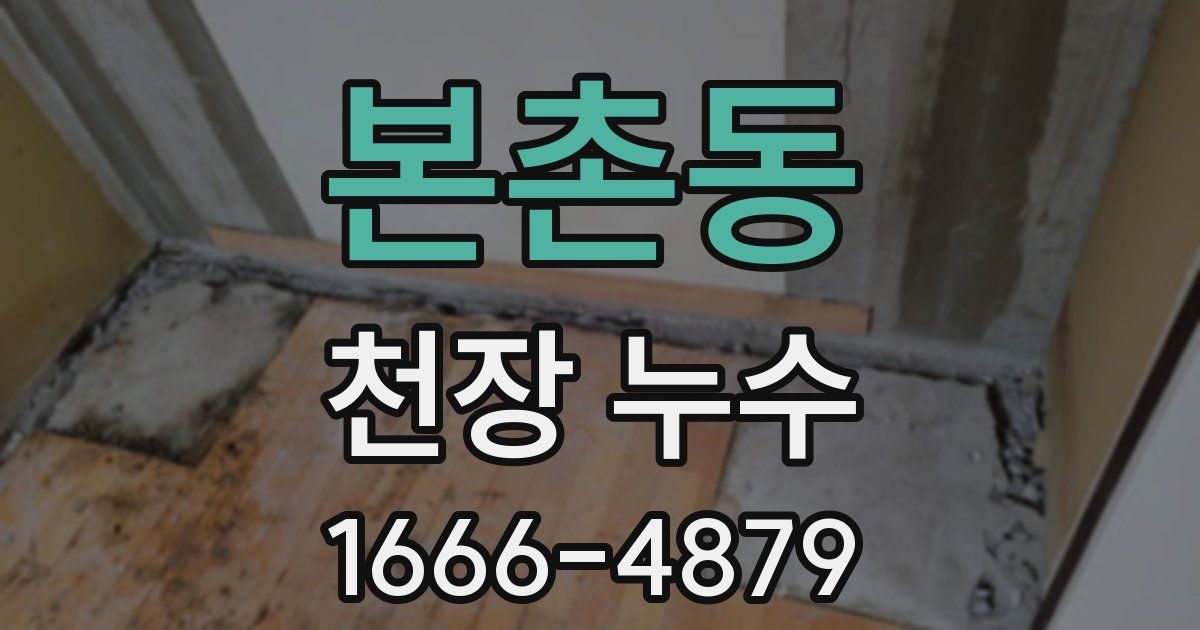 본촌동 천장 누수