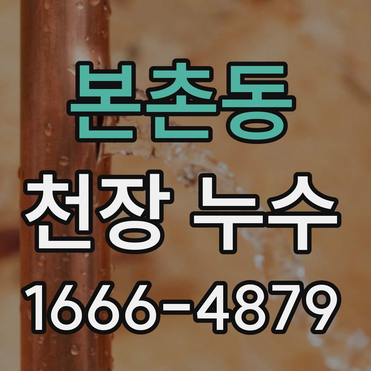 본촌동 천장 누수
