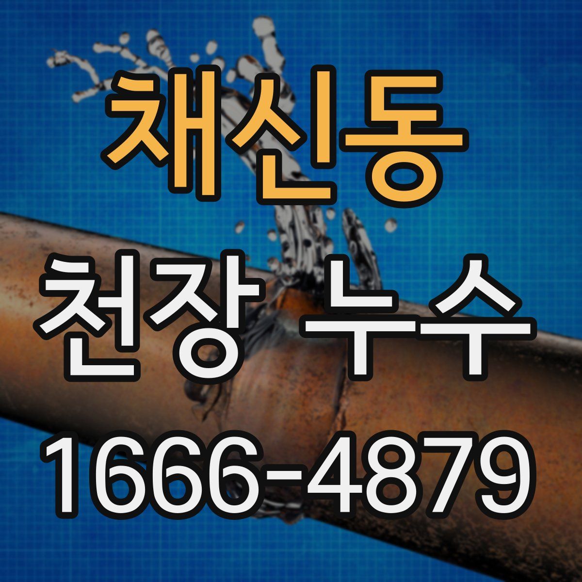 채신동 천장 누수