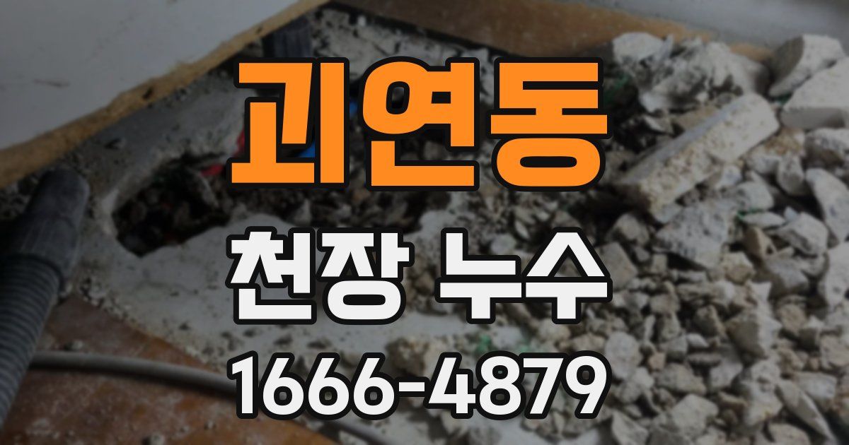 괴연동 천장 누수