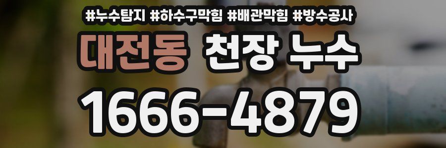 대전동 천장 누수