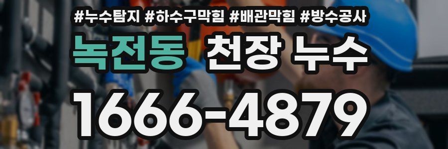 녹전동 천장 누수