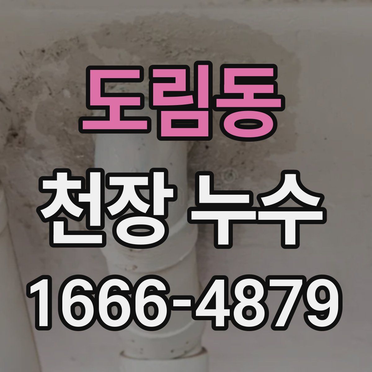 도림동 천장 누수