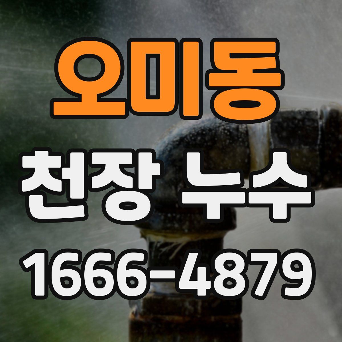 오미동 천장 누수