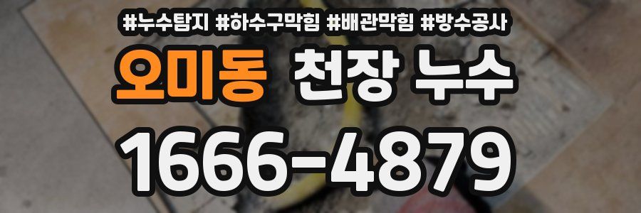 오미동 천장 누수