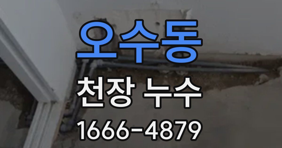 오수동 천장 누수