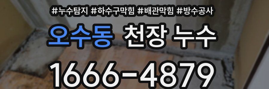 오수동 천장 누수