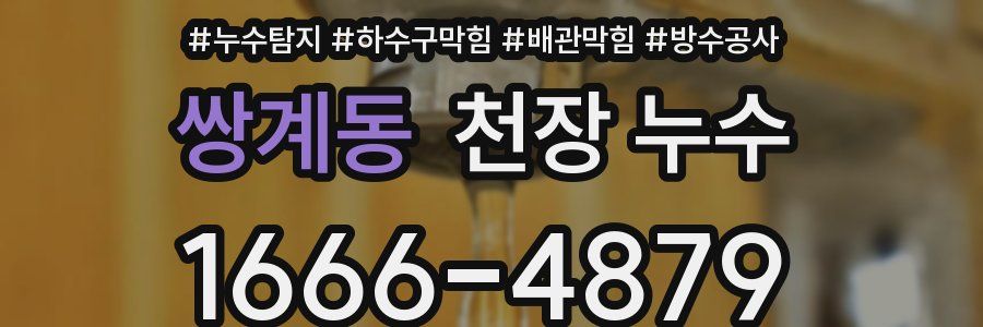 쌍계동 천장 누수