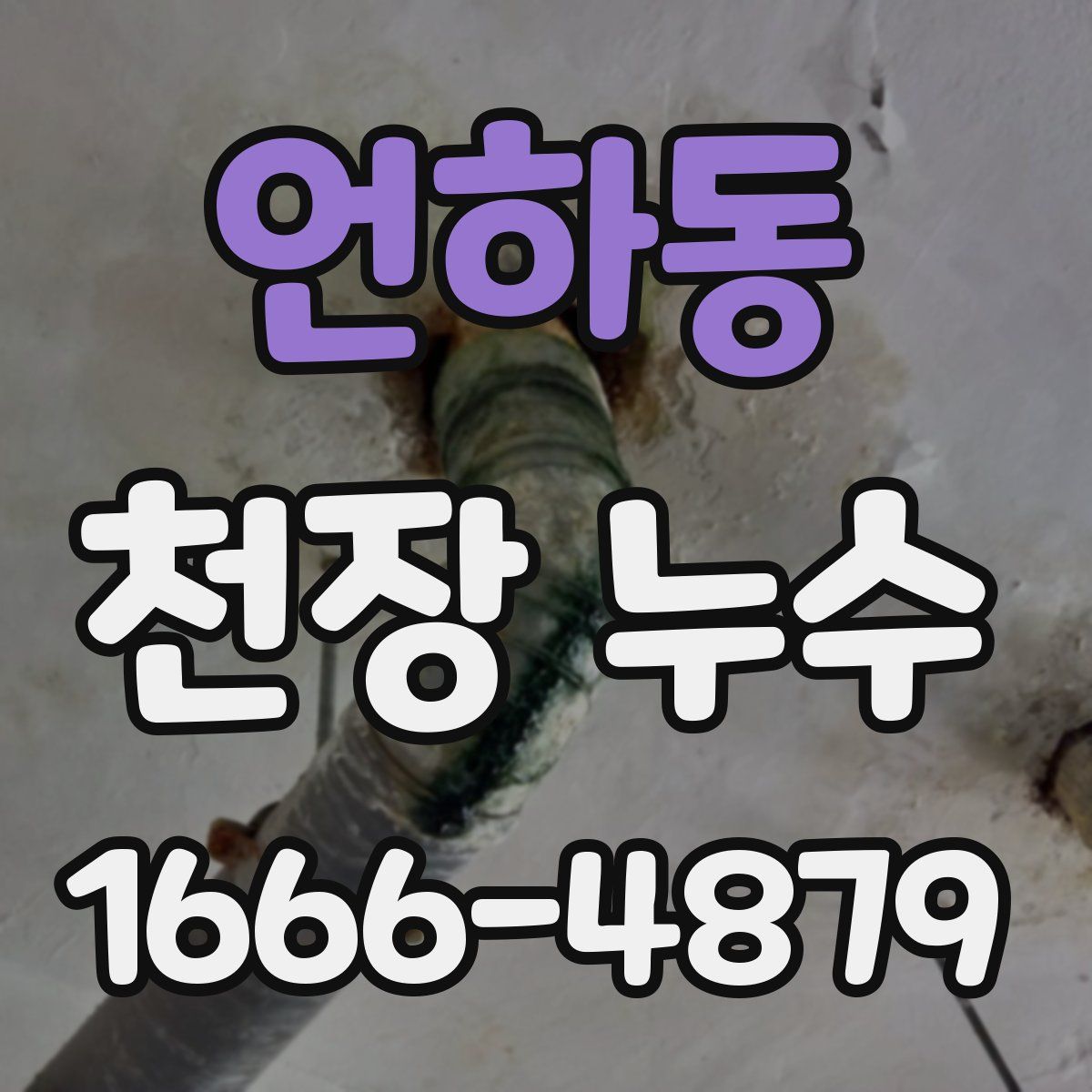 언하동 천장 누수