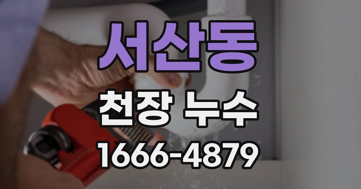 서산동 천장 누수
