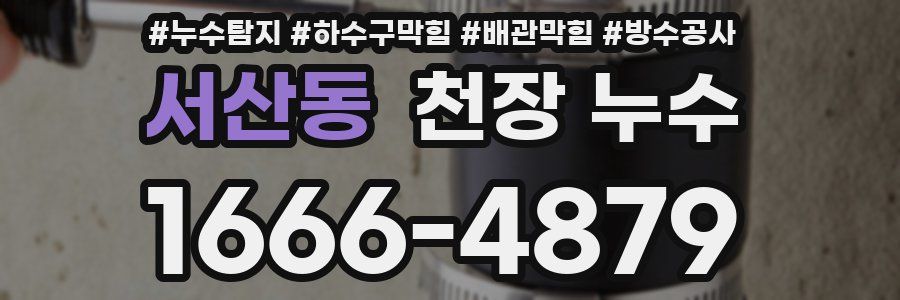 서산동 천장 누수